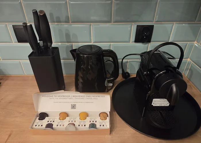 Апартаменты Zamkowy Kopisto 11 - Zamkowe Centrum Miasta Жешув